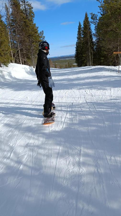Nordic Character Guest House Vidsel Bagian luar foto